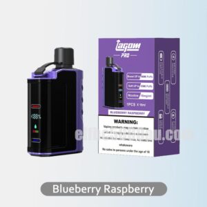Lagom Pro Kit Blueberry Raspberry - A Bold Blend of Blueberry and Raspberry