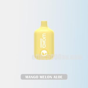 WAKA Smash 6000 Mango Melon Aloe Smooth and Sweet Fusion