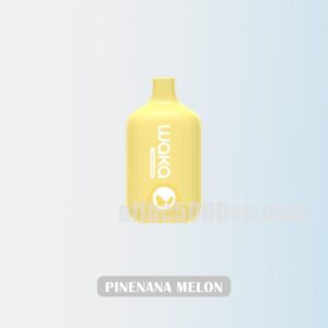 WAKA Smash 6000 Pinenana Melon Tropical Sweet Experience