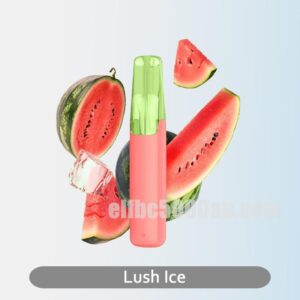 SnowPlus Dash Lush Ice Cool and Fruity Lush Ice Experience