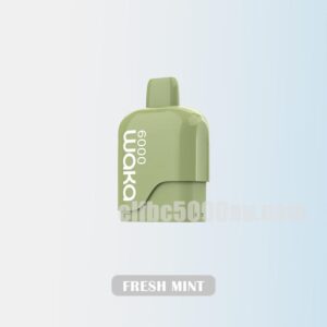 WAKA Somatch Pod 6000 Fresh Mint Clean Cool Refreshment