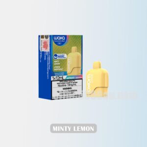 WAKA Somatch Pod 6000 Minty Lemon Fresh and Zesty Vape