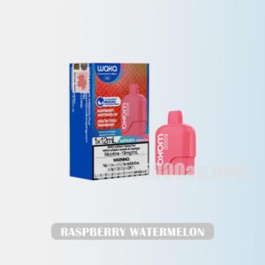 WAKA Somatch Pod 6000 Raspberry Watermelon Sweet Cool Blend