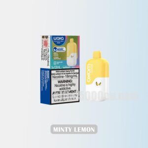 WAKA Somatch Kit 6000 Minty Lemon Zesty and Fresh Flavor