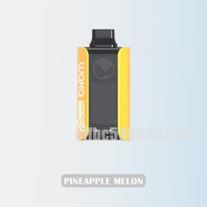 WAKA Sopro PA10000 Pineapple Melon Tropical Refreshment